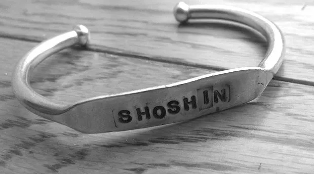 【经济术语】什么是 Shoshin(初心)——有意识学习的古老技术
